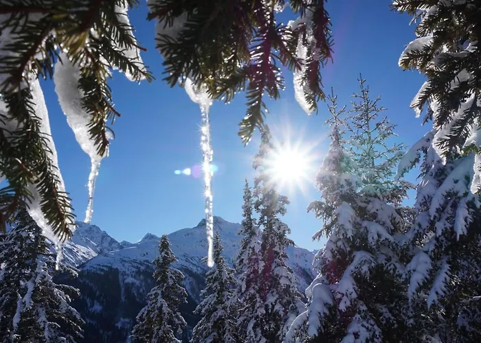 Apartment Daniela In Galtuer By Interhome * Galtür