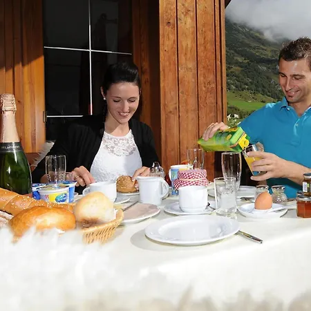 Apartment Daniela In Galtuer By Interhome * Galtür